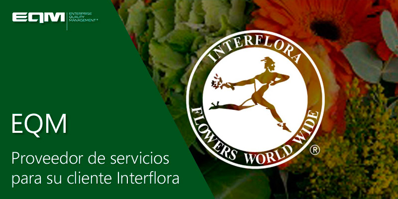 proveedor-de-servicios