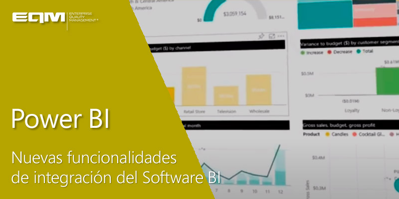 software-bi