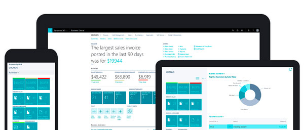 erp-y-crm-Dynamics-365-Business-Central