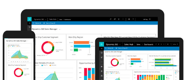 erp-y-crm-microsoft-dynamics-365-Sales