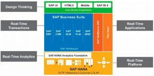 sap-caracteristicas