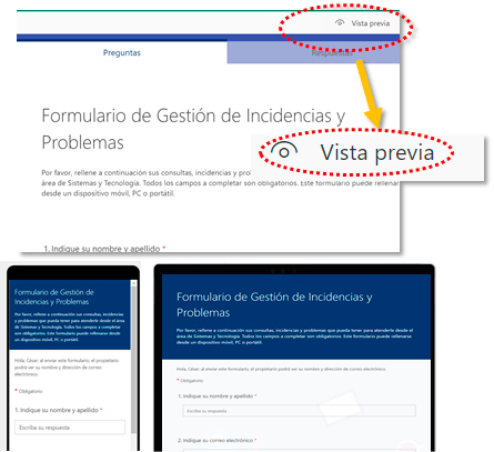 vista previa formulario
