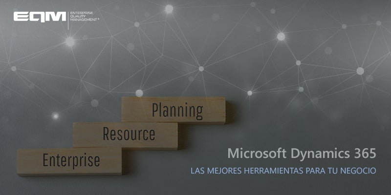 ERP Microsoft